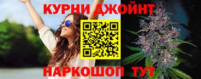 сатива Новозыбков