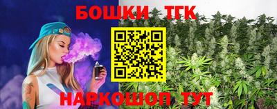 сатива Новозыбков