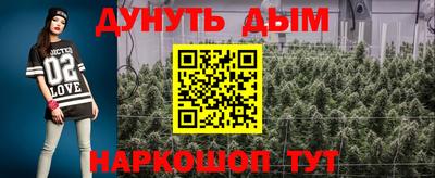 сатива Новозыбков