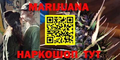 сатива Новозыбков