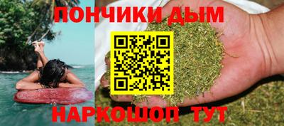 сатива Новозыбков
