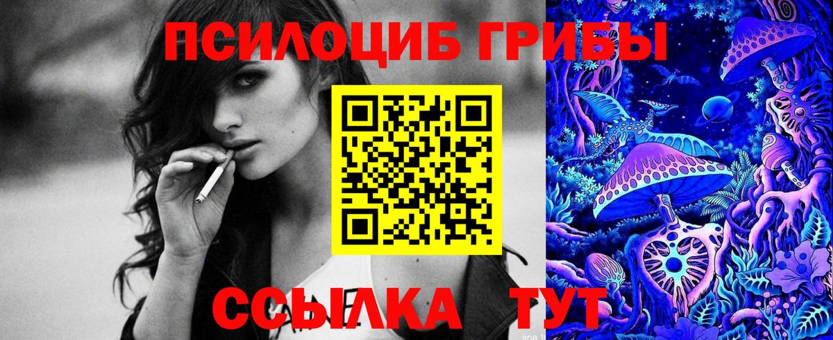 Галлюциногенные грибы мицелий  Вход с VPN  купить   Сертолово 