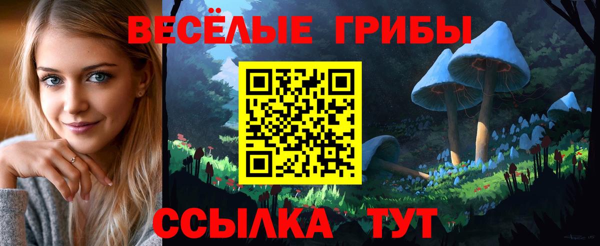 Галлюциногенные грибы Cubensis Сертолово